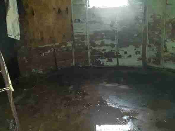 31598073_1596759258523 (2).jpg